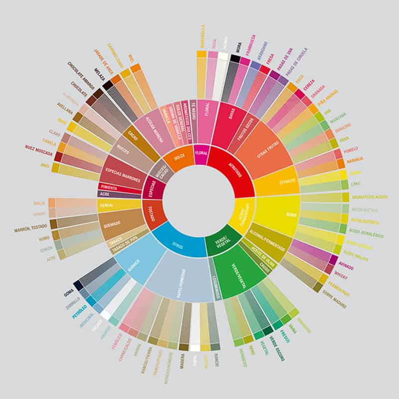 Círculo de colores para aromas y sabores del café en la infografía de Candela Coffee.
